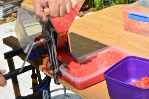 The tomato press. Juice comes out the front. Pulp / Seeds / Skin comes out the back.