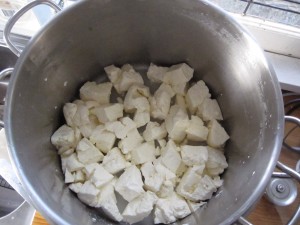 Curds Diced and Ready for Pressing