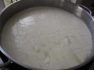 Blue Vein - Freshly Cut Curds