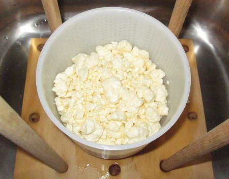 After nearly 8 hours the curds have finally made it into the mould for pressing. They are pressed with a pretty significant weight on them (10kg) for 2 days. It is interesting to note that the cheese at this point has become quite hostile to life. It is very acidic (ph 4ish), salty and has a low moisture content.