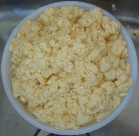 Curds in the hoop ready to drain without wieghts overnight. The cheese is not pressed to keep it moist.